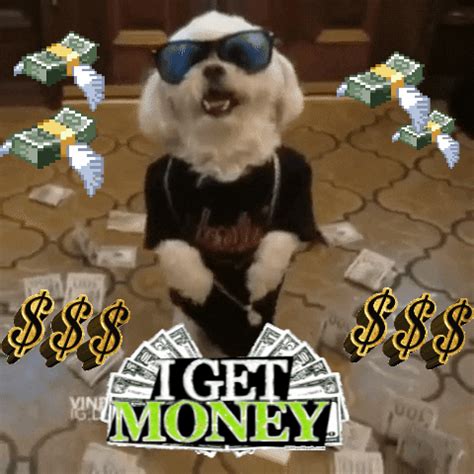A man diving in a pool of money. . Get that money gif